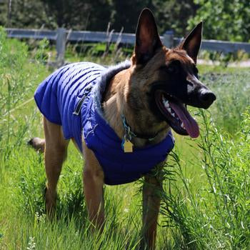 large dog puffer coat