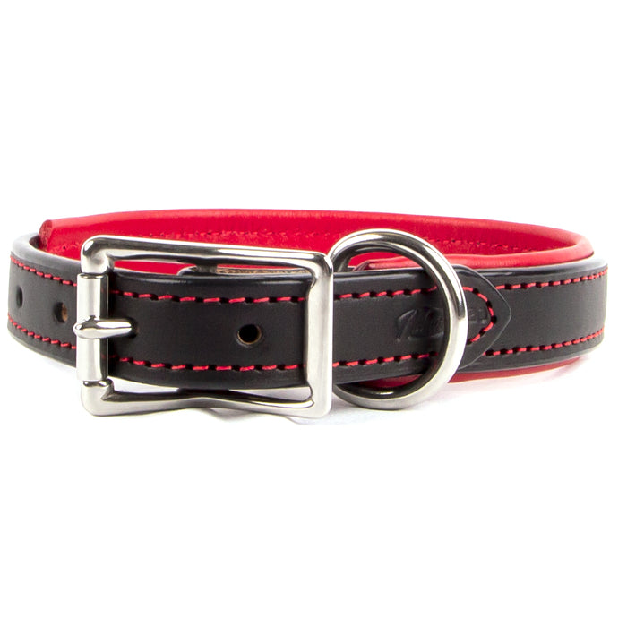 Padded Leather Dog Collar