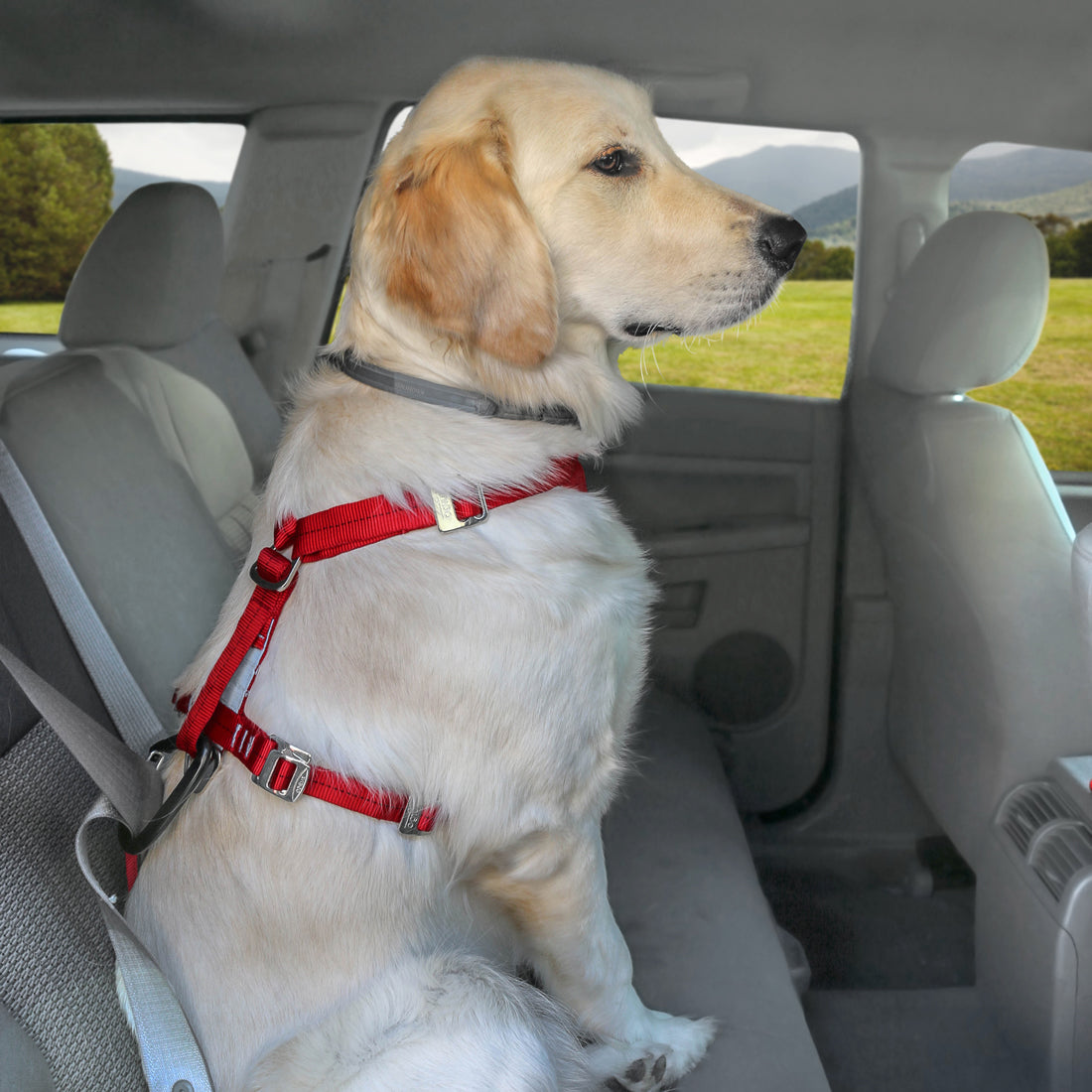Enhanced Strength Kurgo Trufit Dog Harness