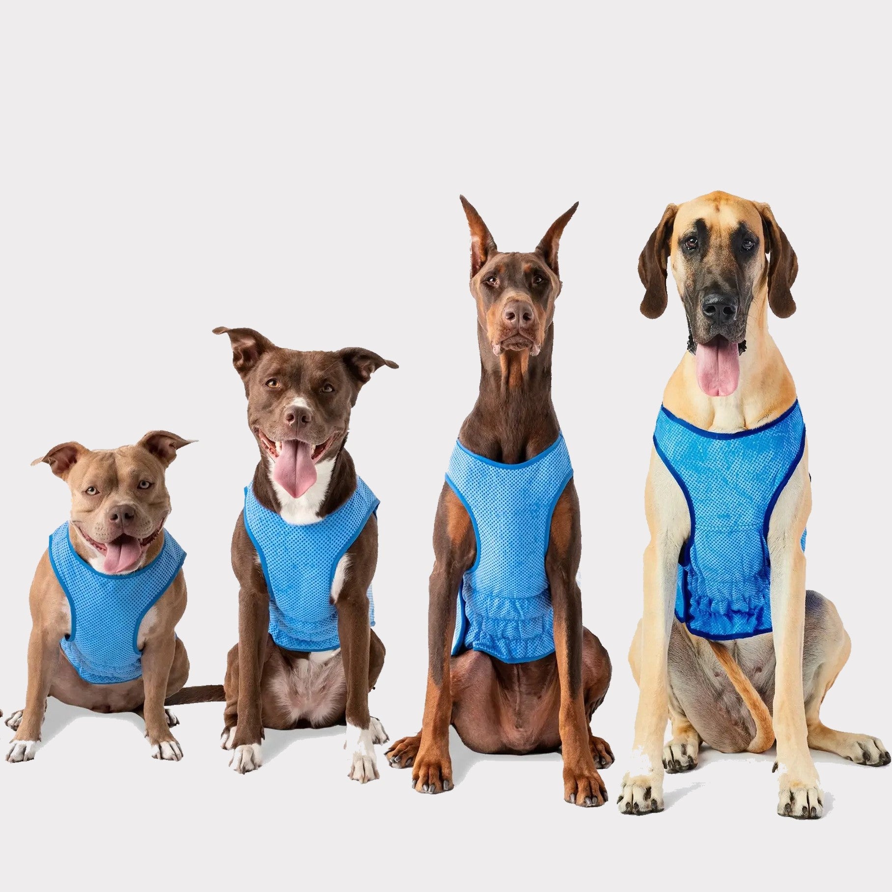 dog cooling vest