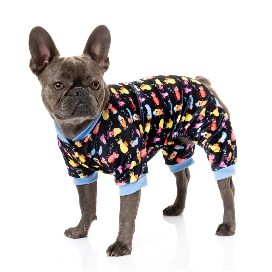 Bed Bugs Dog Pajamas