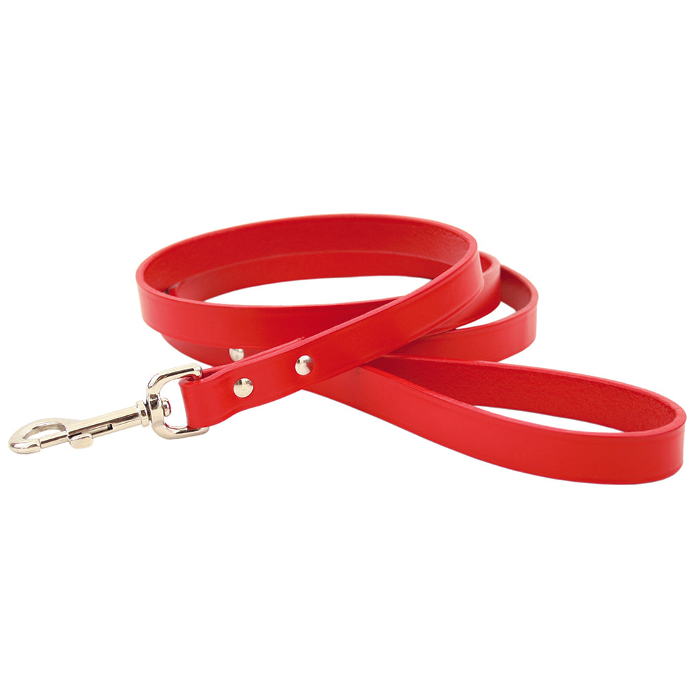 red leather dog leash