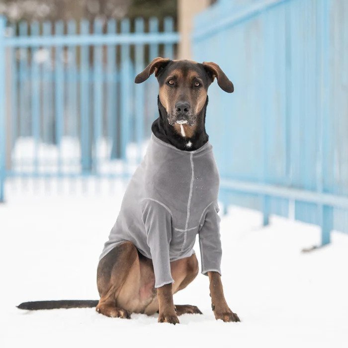 fleece large dog shirt