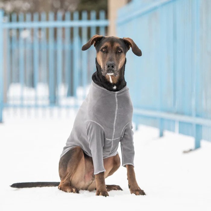 dog gear fleece top GF Pet Gondola Base Layer - Charcoal 36/30 S Item Length Size:Free Can a 55-Year-Old Roadie