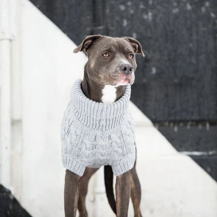 Easy Crochet Dog Sweater for Large, XL, and XXL Dogs 