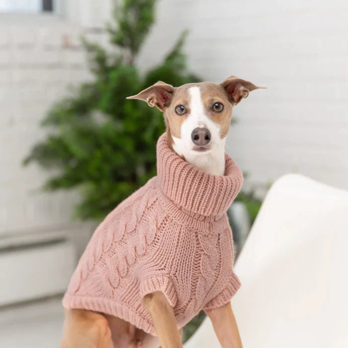 Classic Cable Knit Dog Sweater
