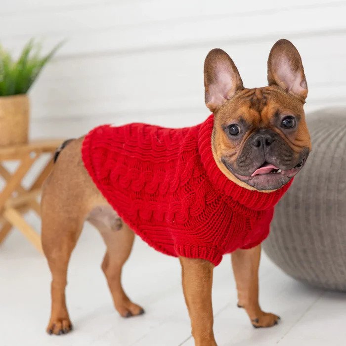 Classic Cable Knit Dog Sweater