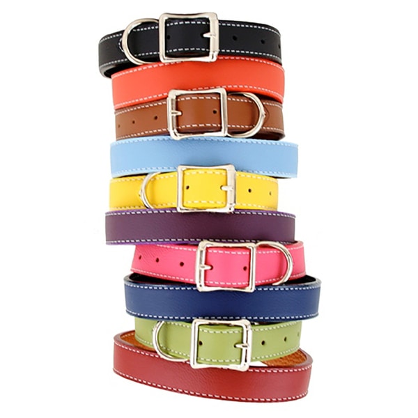 large leather dog collars