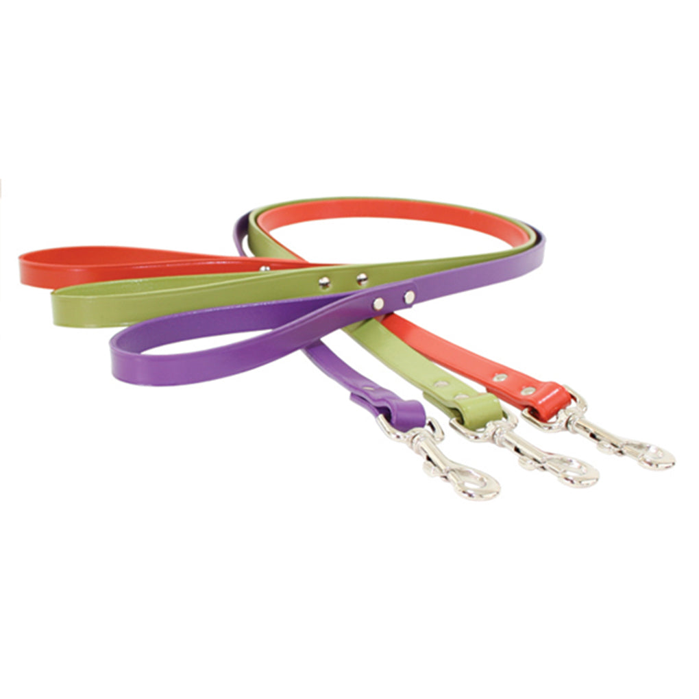 Empire Leather Dog Leash