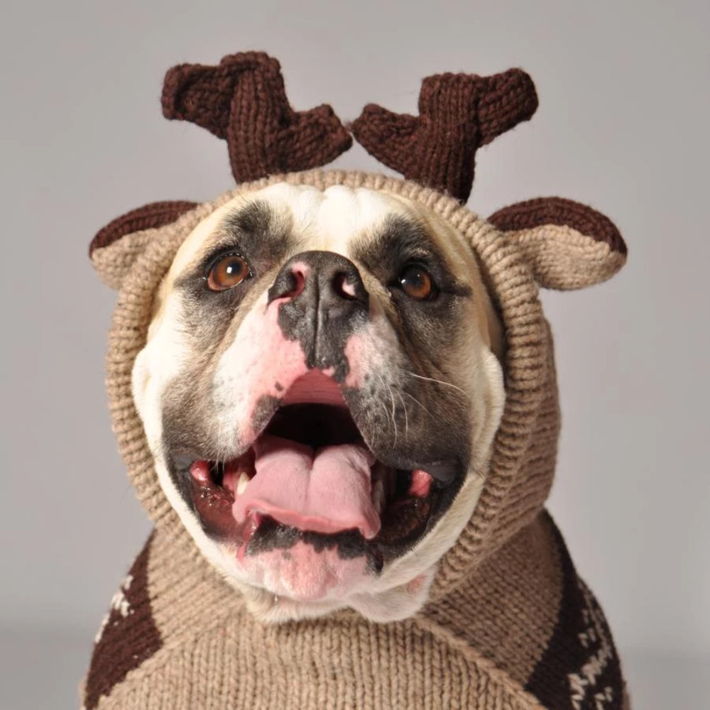Dog Christmas sweater