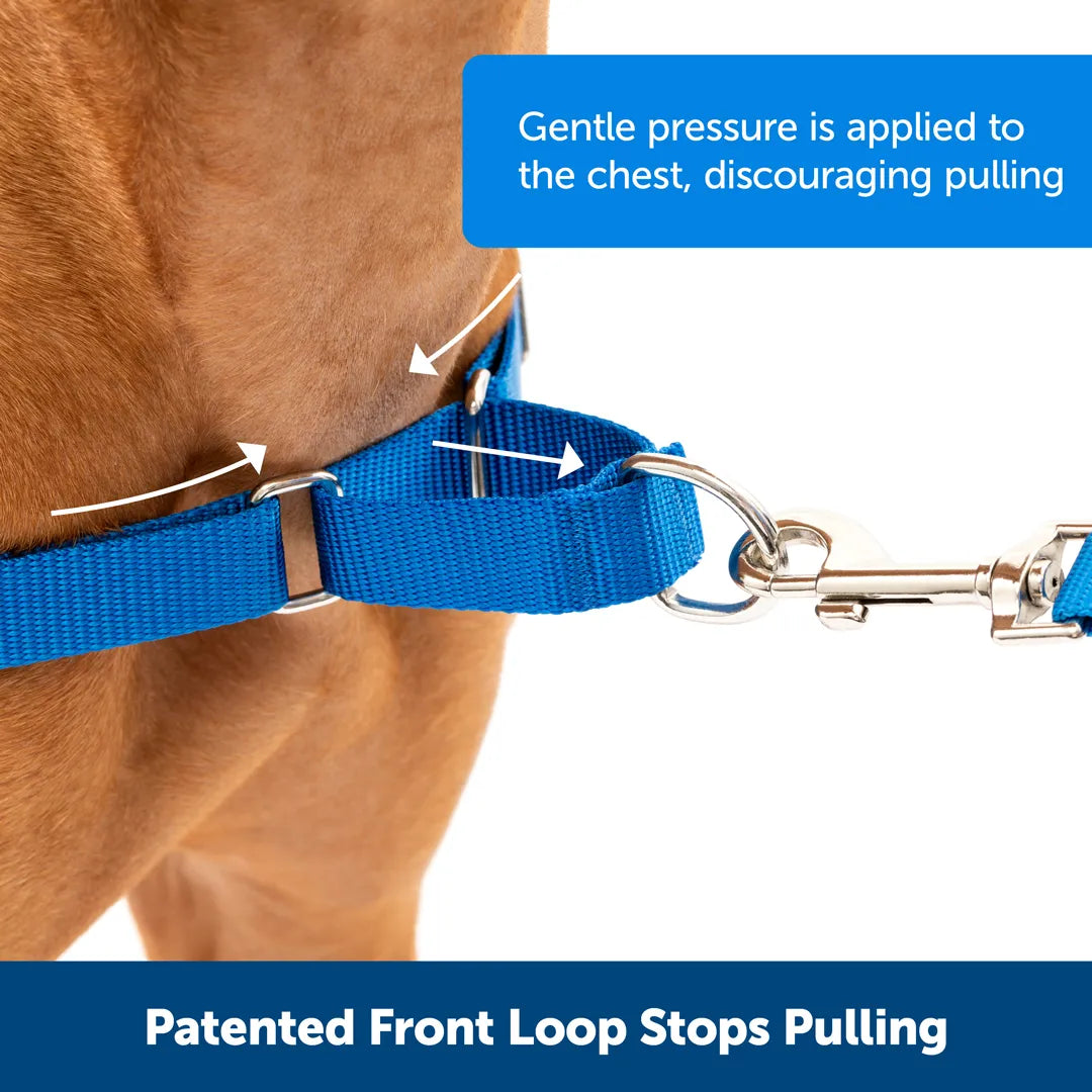 Deluxe Easy Walk No Pull Dog Harness