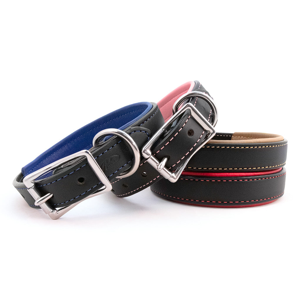 padded large leather dog collar