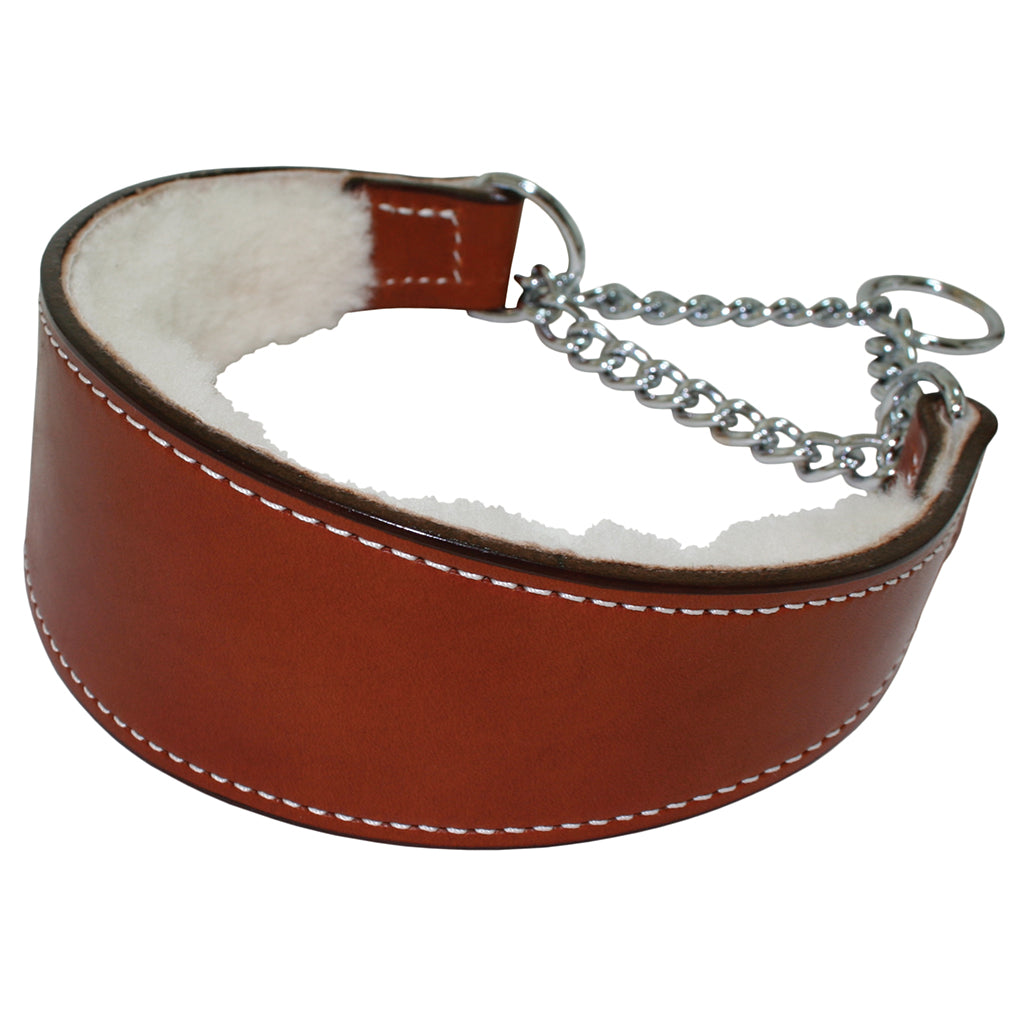 leather martingale dog collar