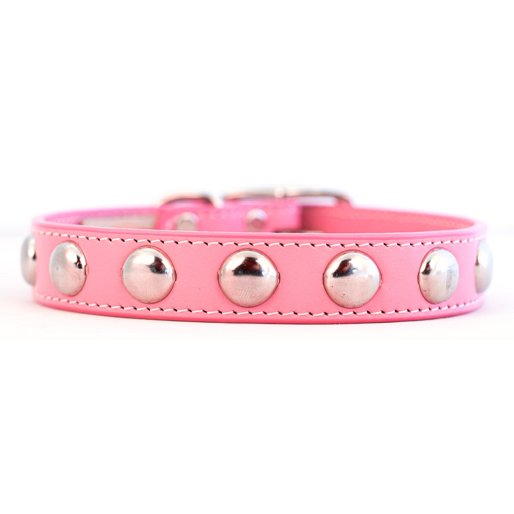 Silver Studded Dog Collar