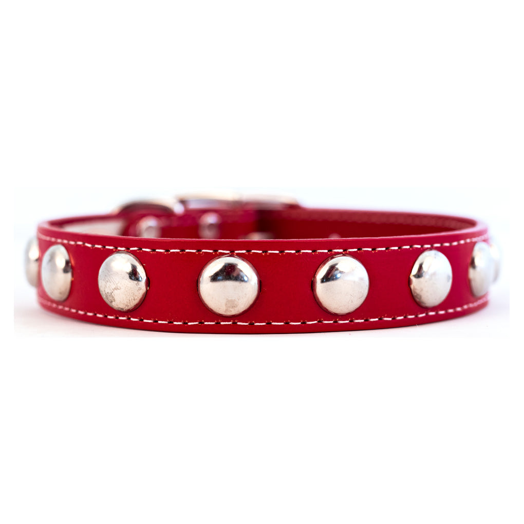 Silver Studded Dog Collar