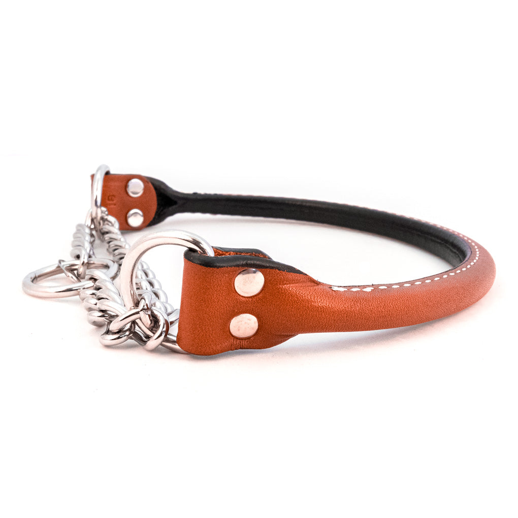 tan leather martingale dog collar