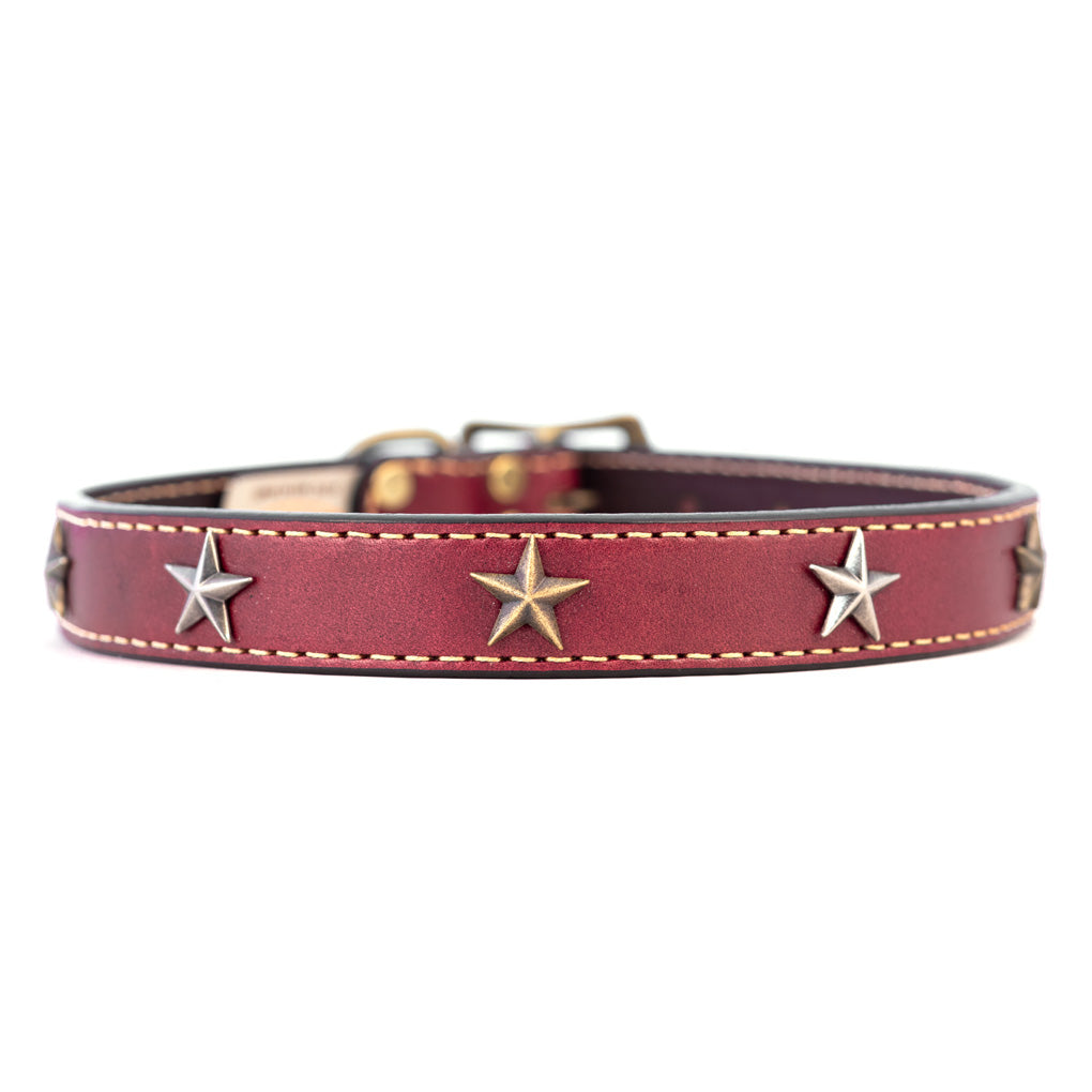 Star Studded Dog Collar