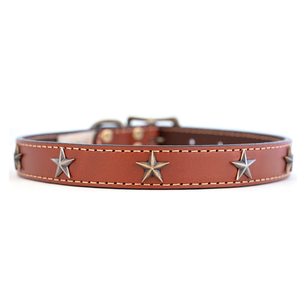 Star Studded Dog Collar