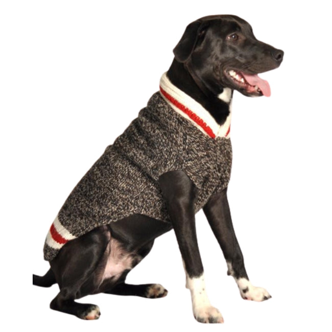 boyfriend style dog sweater