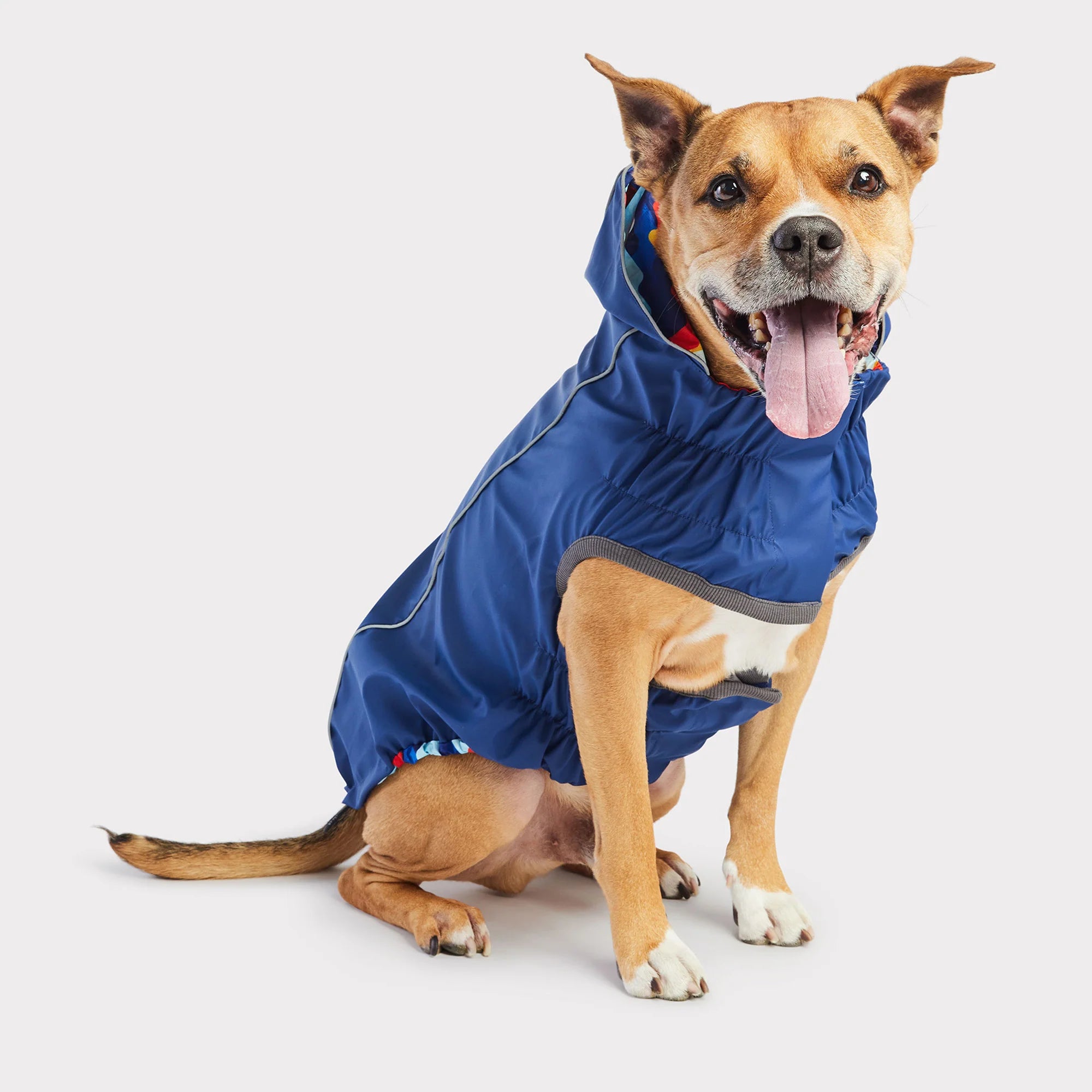 large dog raincoat