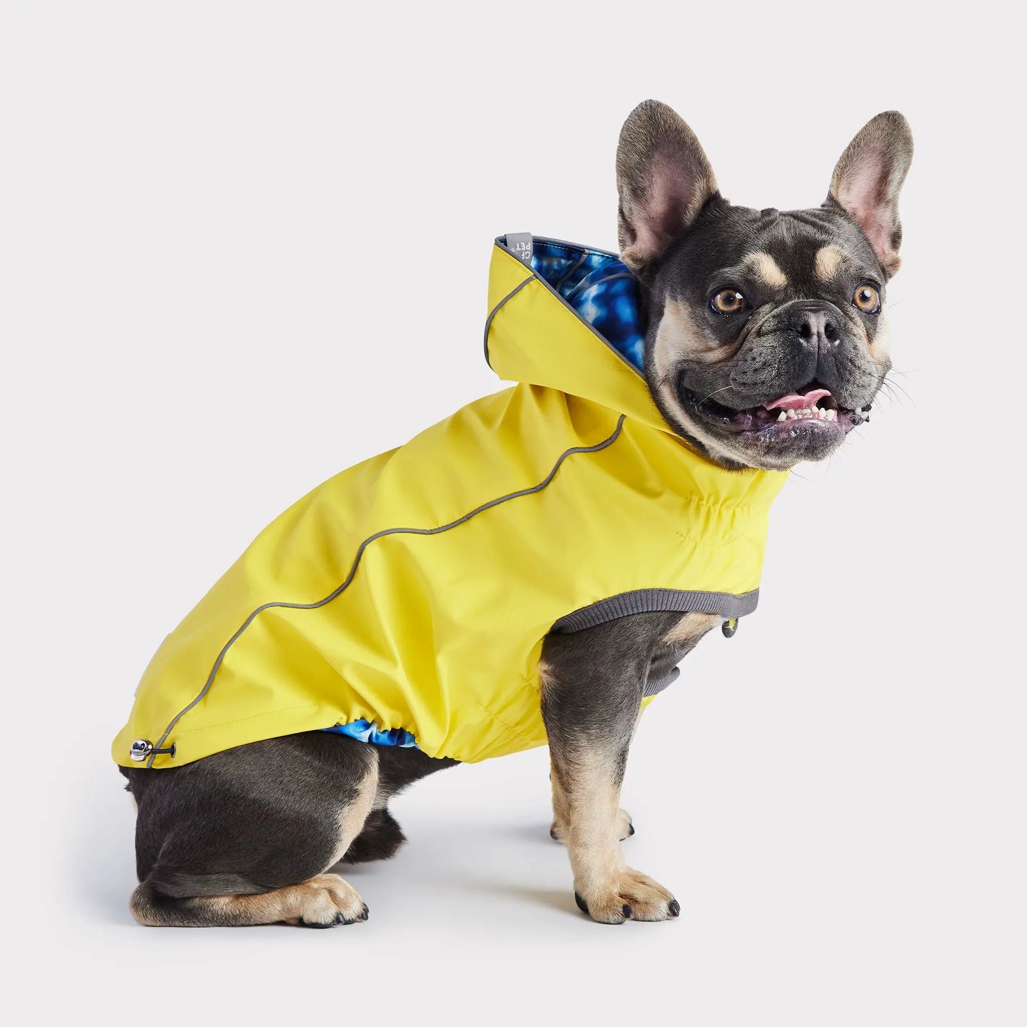 yellow dog rain coat