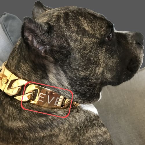 Engraved ID link for cuban link dog chain collar