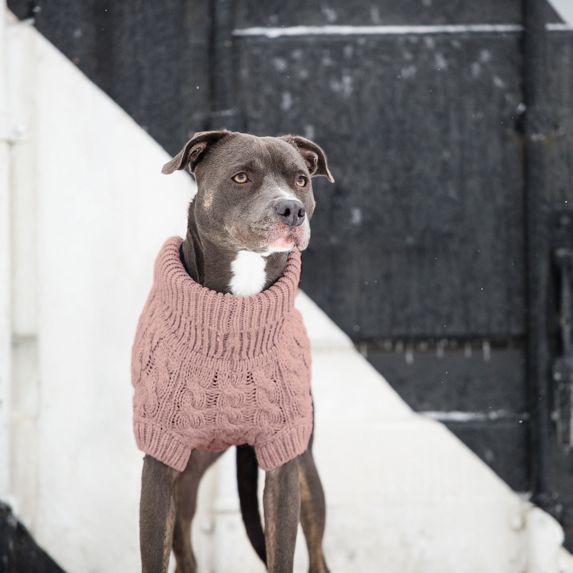 Classic Cable Knit Dog Sweater-Pink