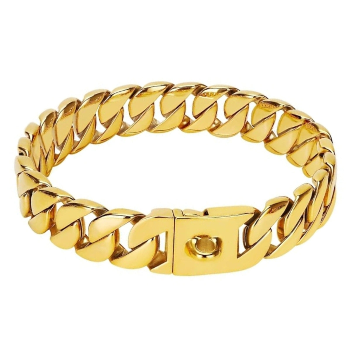 large gold dog chain collar Cuban link 