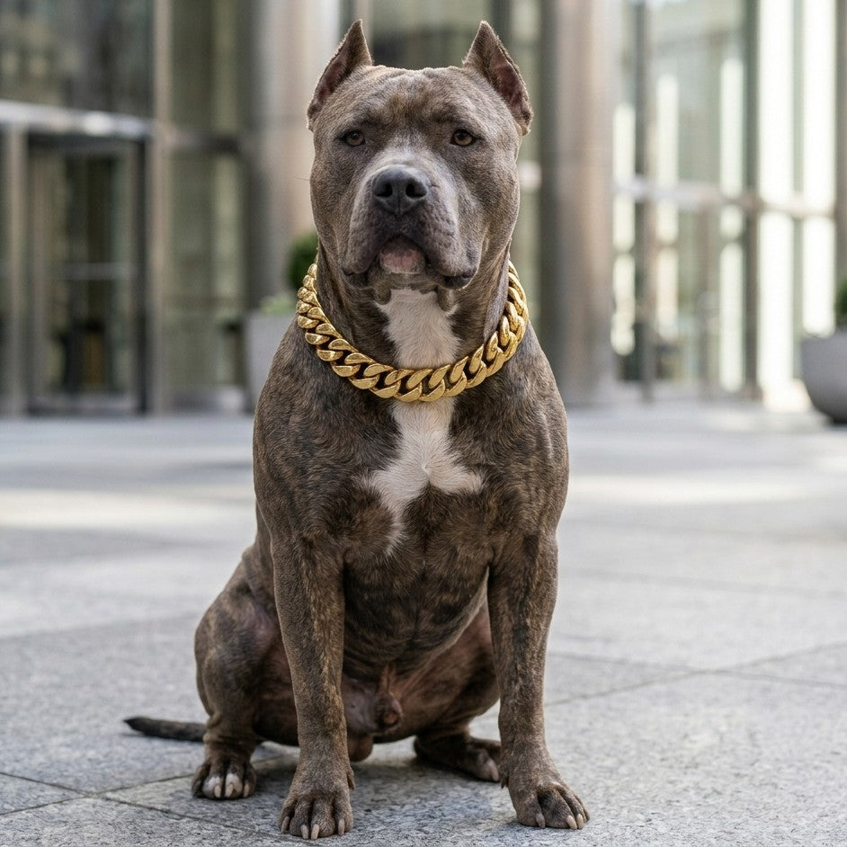 Cuban Link Dog Collar