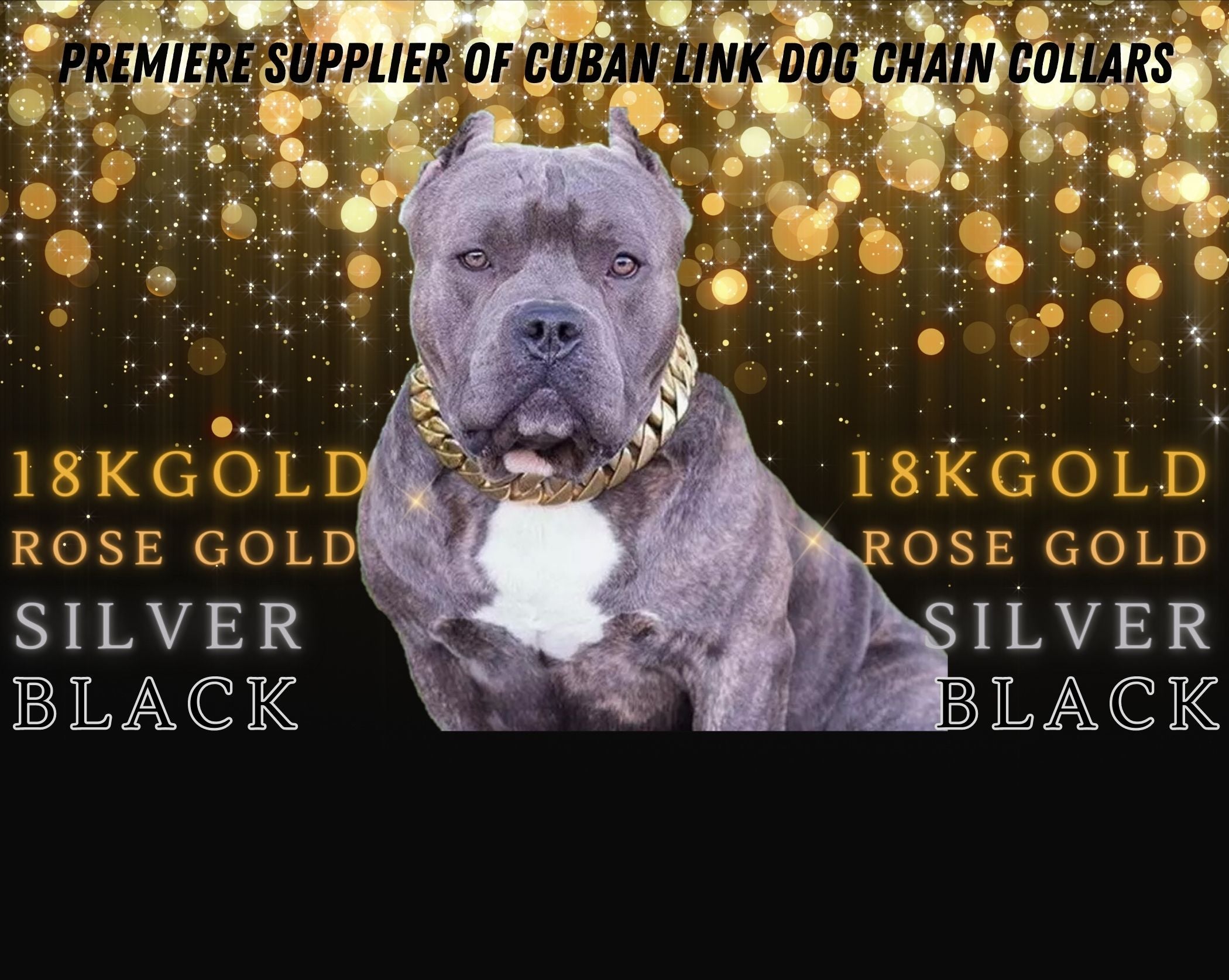 Pitbull cuban link outlet collar