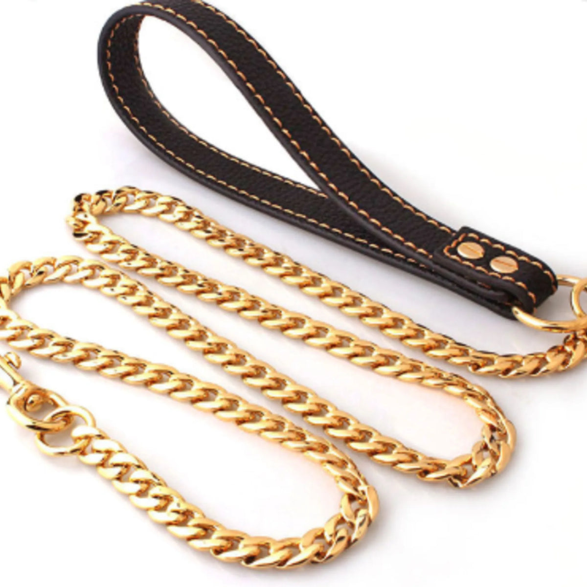 gold dog chain leash