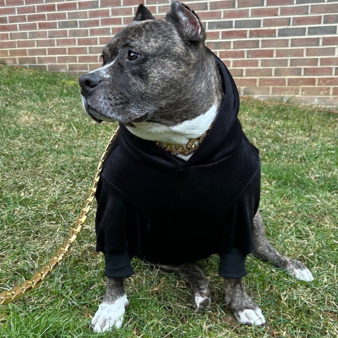 Large dog hoodie