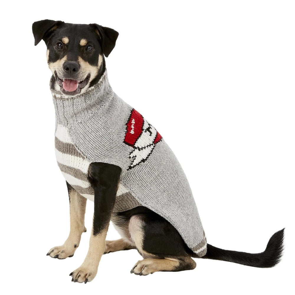 Pitbull dog sweater mom