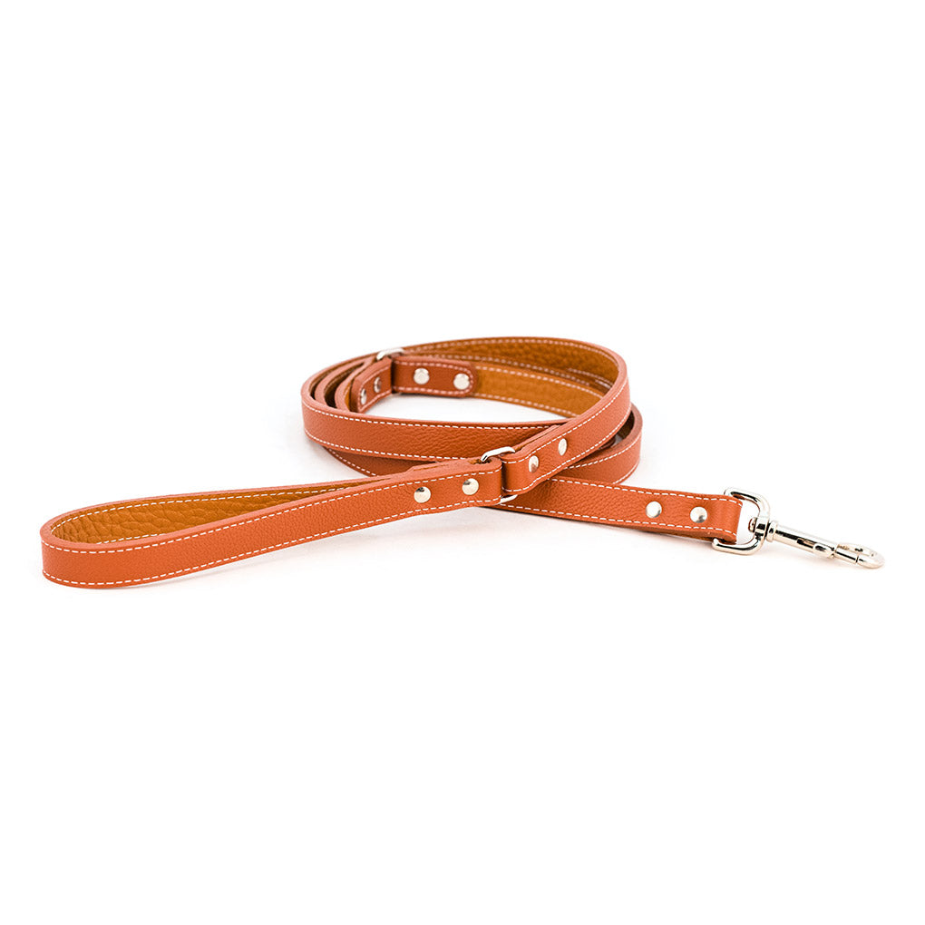 Palermo Italian Leather Dog Leash