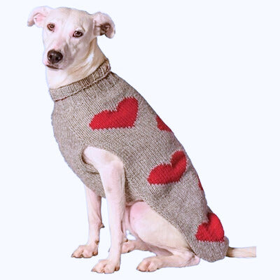 red heart dog sweater