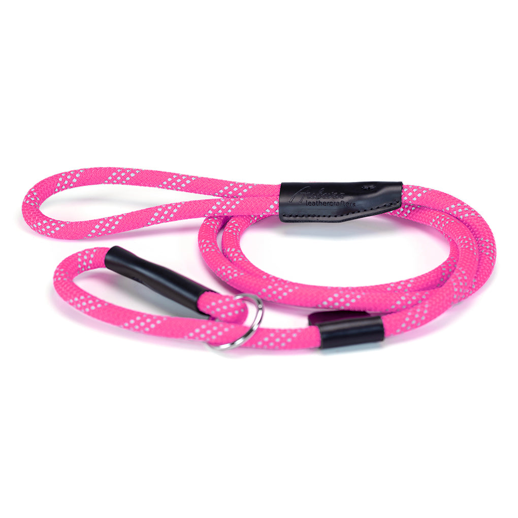 reflective nylon rope dog leash