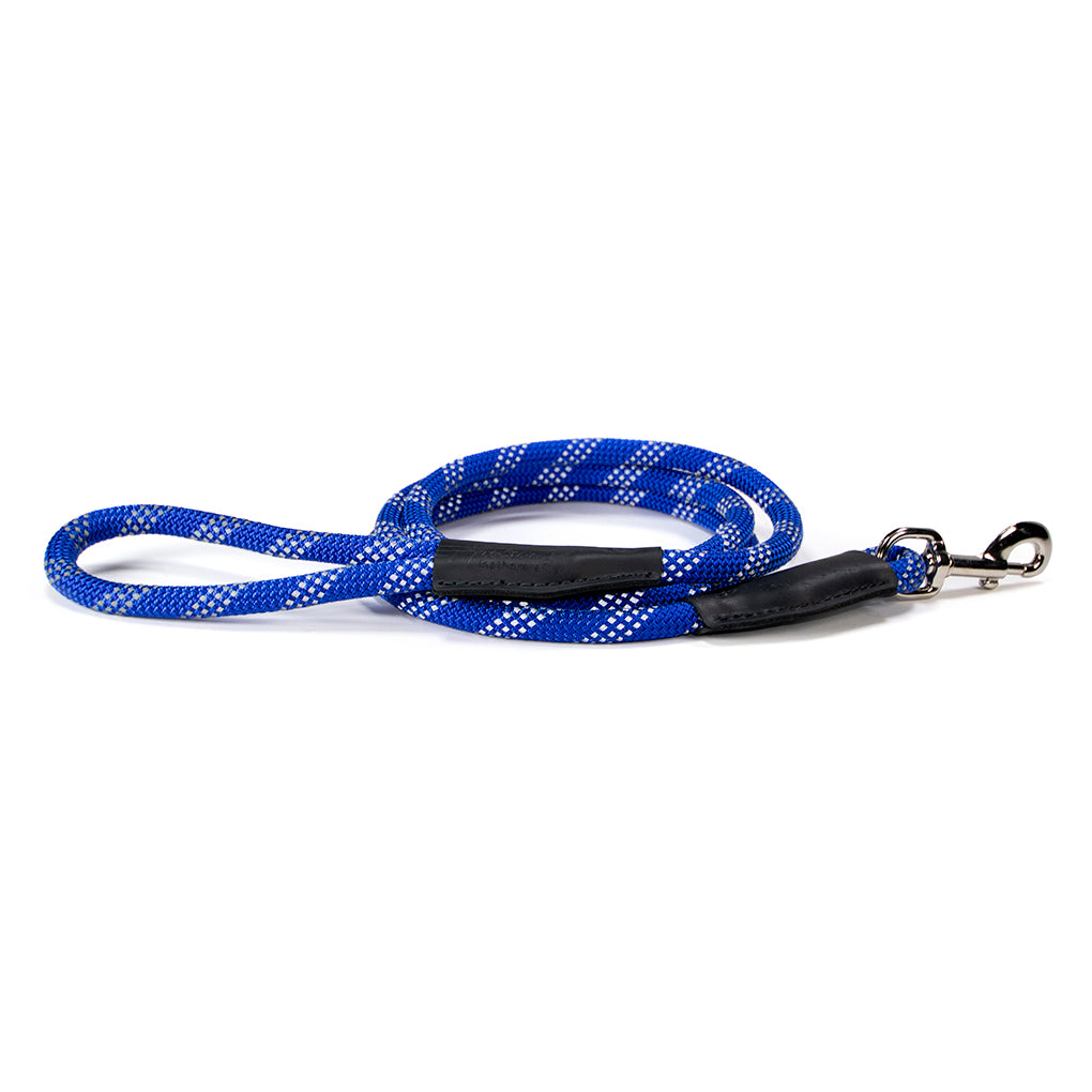 Rope dog leash blue
