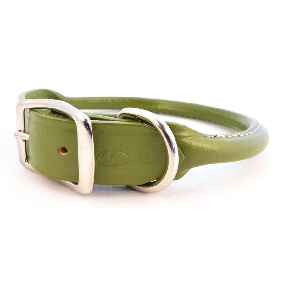 green rolled leather collar