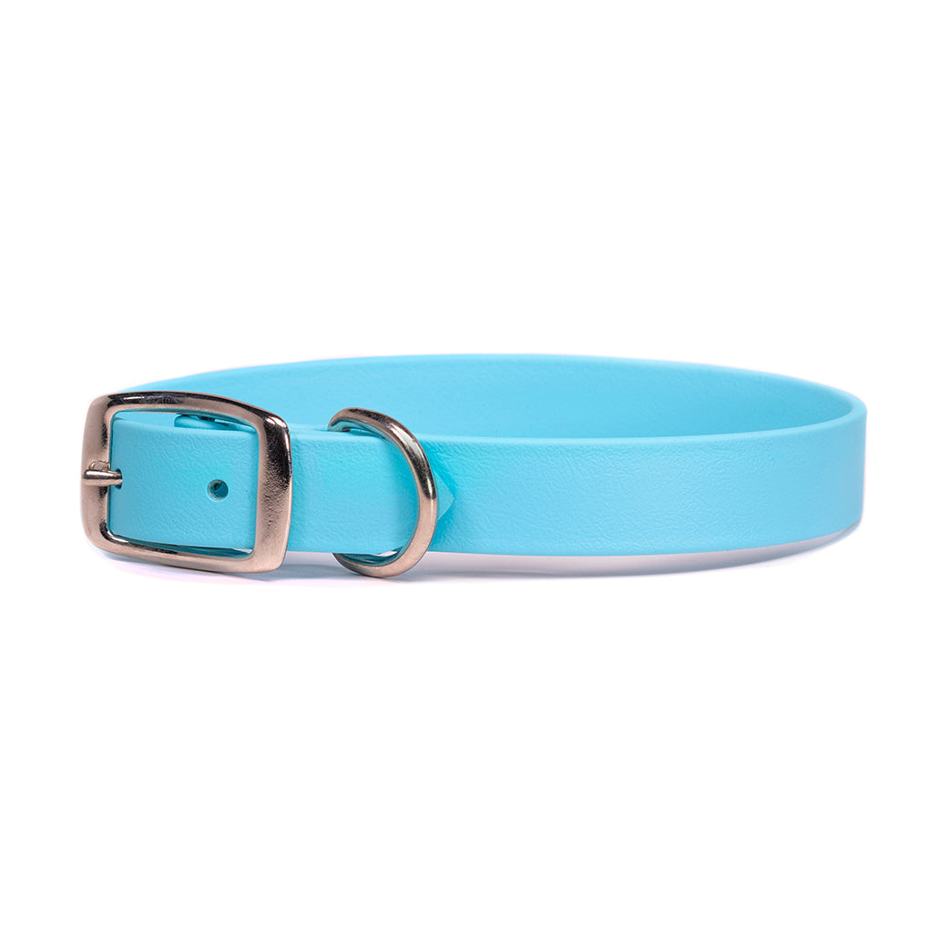 waterproof dog collar light blue