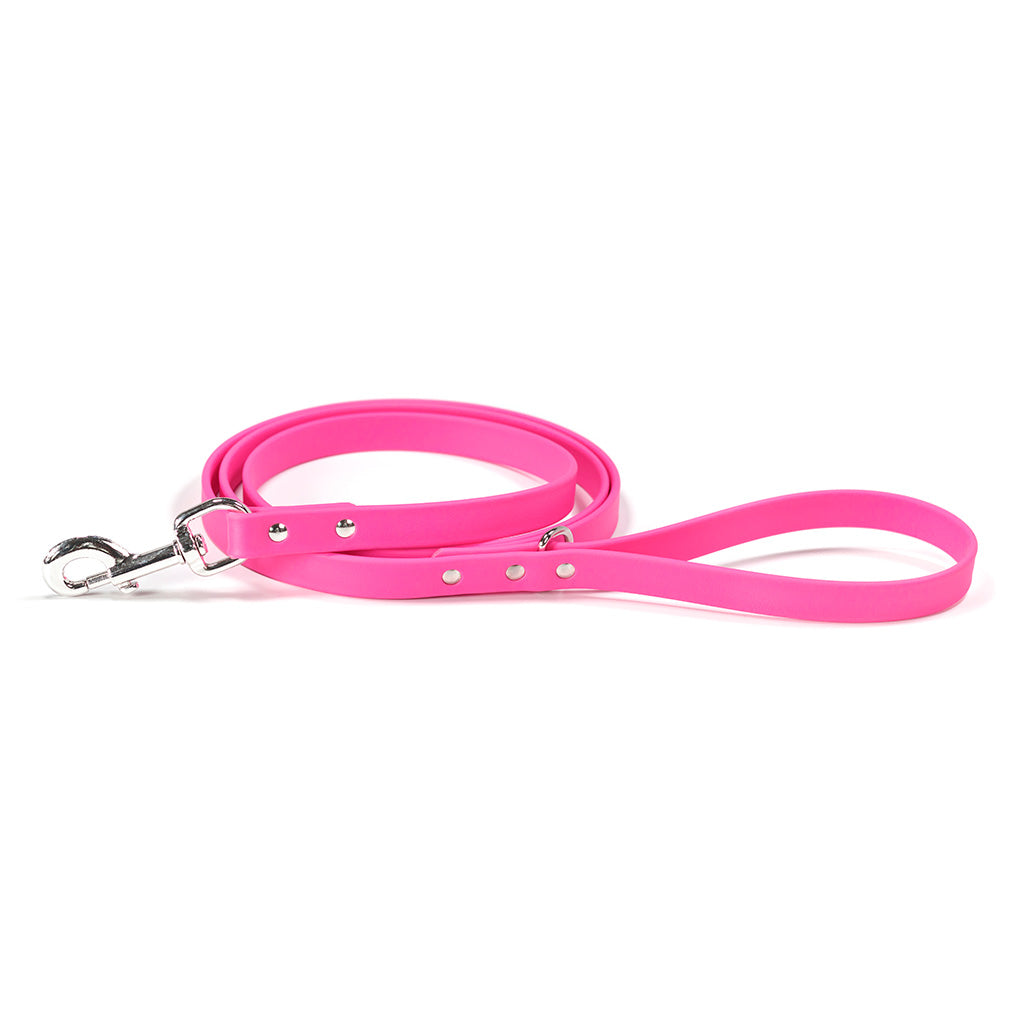 Waterproof Dog Leash