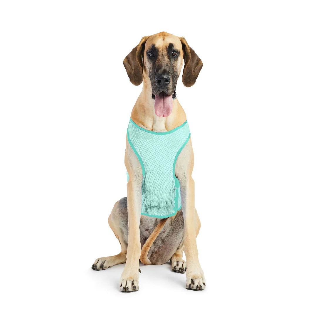 Large dog cooling vest best sale