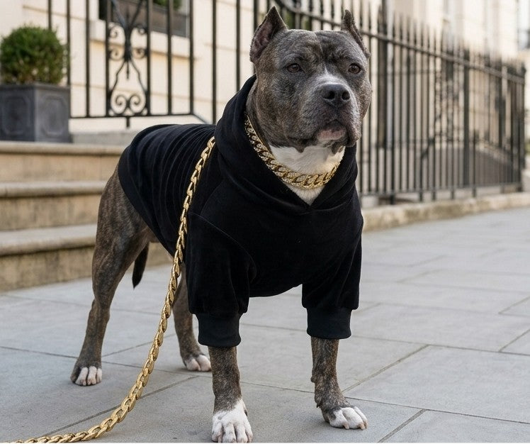 large dog hoodie