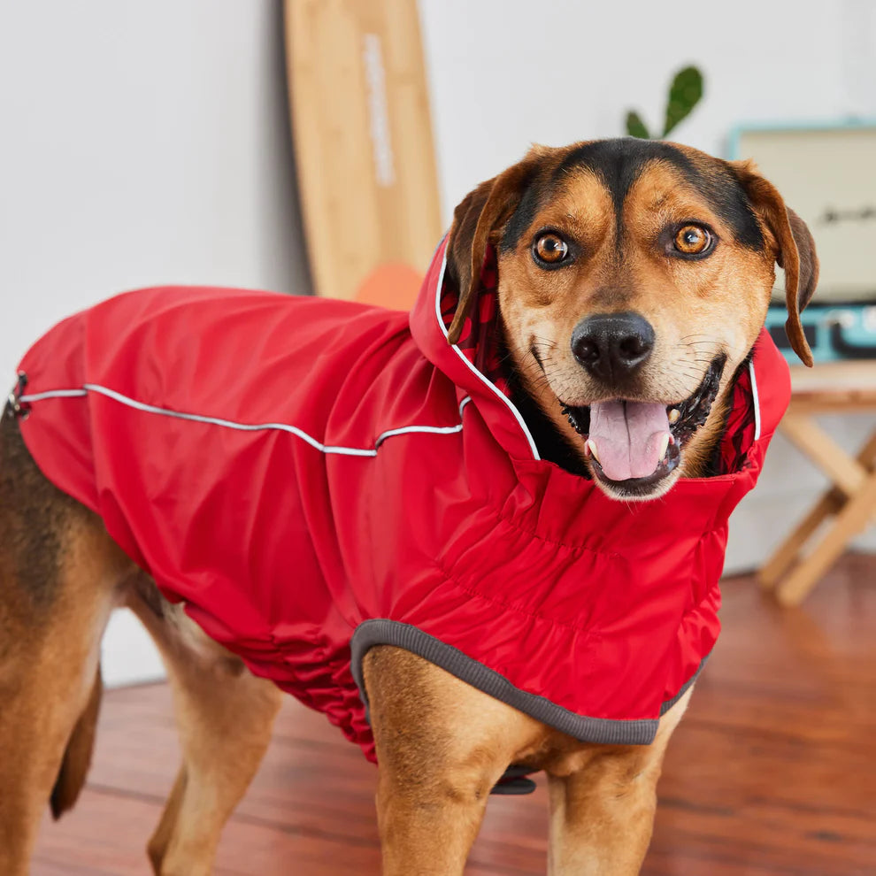 large dog raincoat red