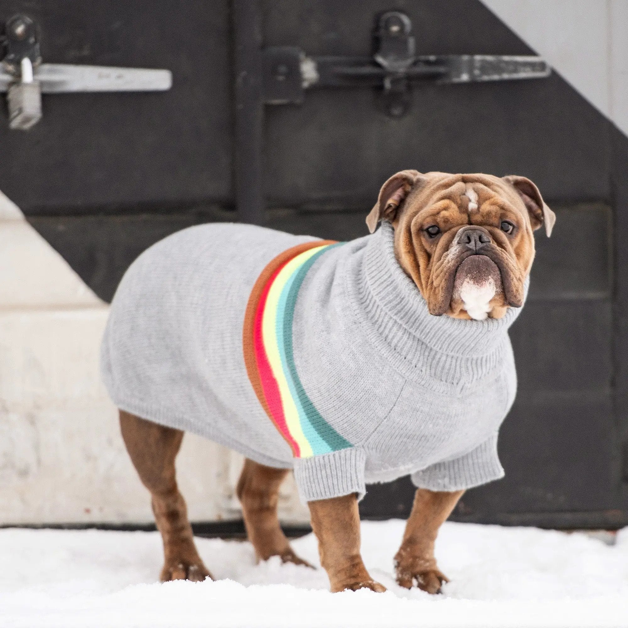 Retro Turtleneck Dog Sweater - Grey