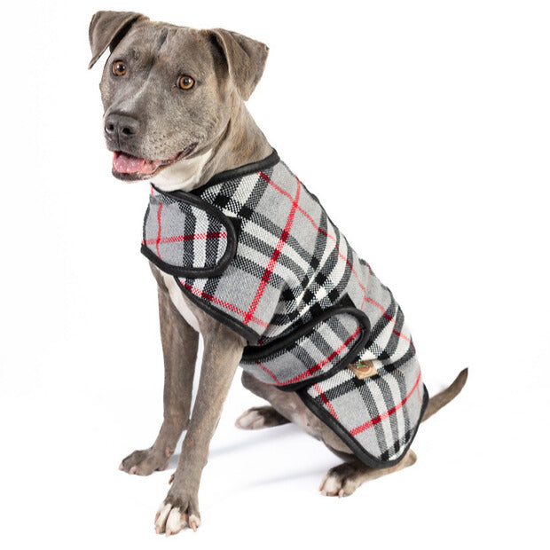 large dog coat grey tartan plaid
