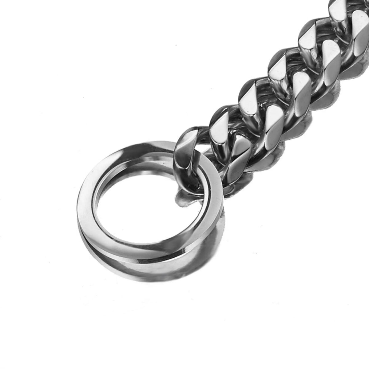silver choker dog collar