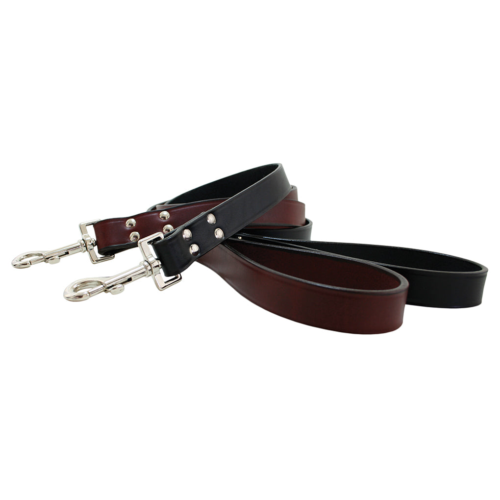 heavy duty dog leash