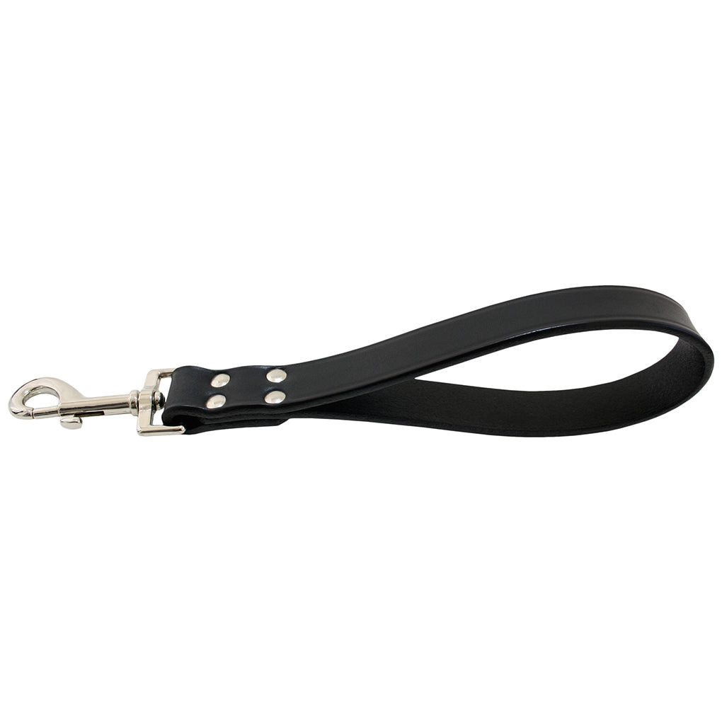 Short dog leash