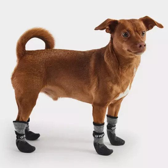 Dogs with outlet booties