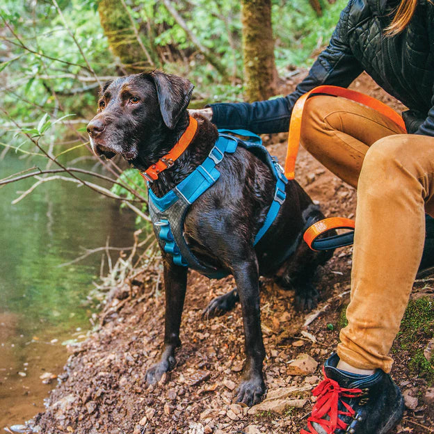 Journey Air Kurgo Dog Harness